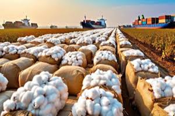 Govt extends import duty exemption on cotton for another three months