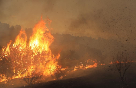Heatwave-Fueled Wildfire Forces Thousands to Flee in Southern California