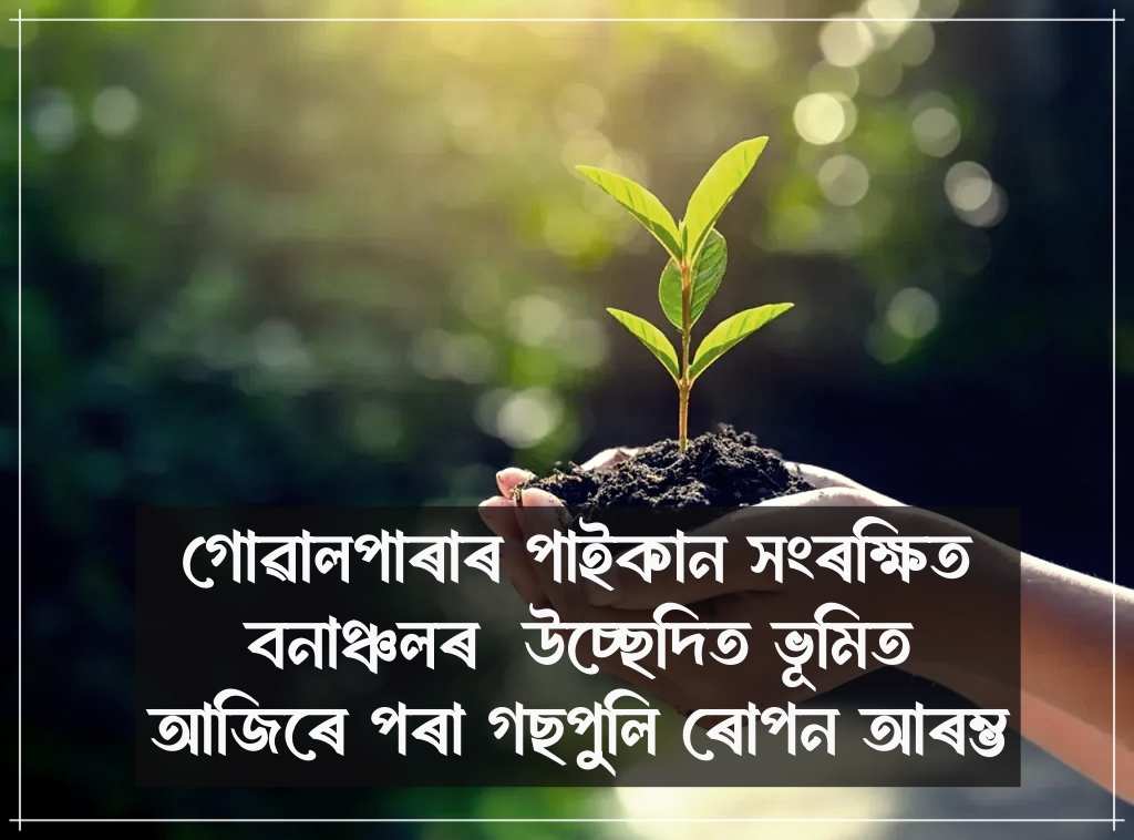 গোৱালপাৰাৰ পাইকান সংৰক্ষিত বনাঞ্চলৰ উচ্ছেদিত ভূমিত আজিৰে পৰা গছপুলি ৰোপন আৰম্ভ