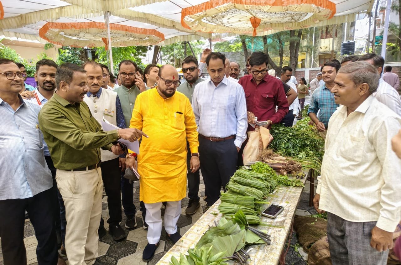 जळगावात रानभाजी महोत्सवाचं आयोजन