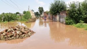 Seven Punjab districts on high alert as Beas and Raavi rivers flood villages