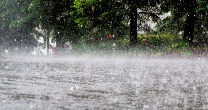 Heavy Rain Causes Flooding in Punjab’s Pathankot, Kapurthala, & Gurdaspur Districts