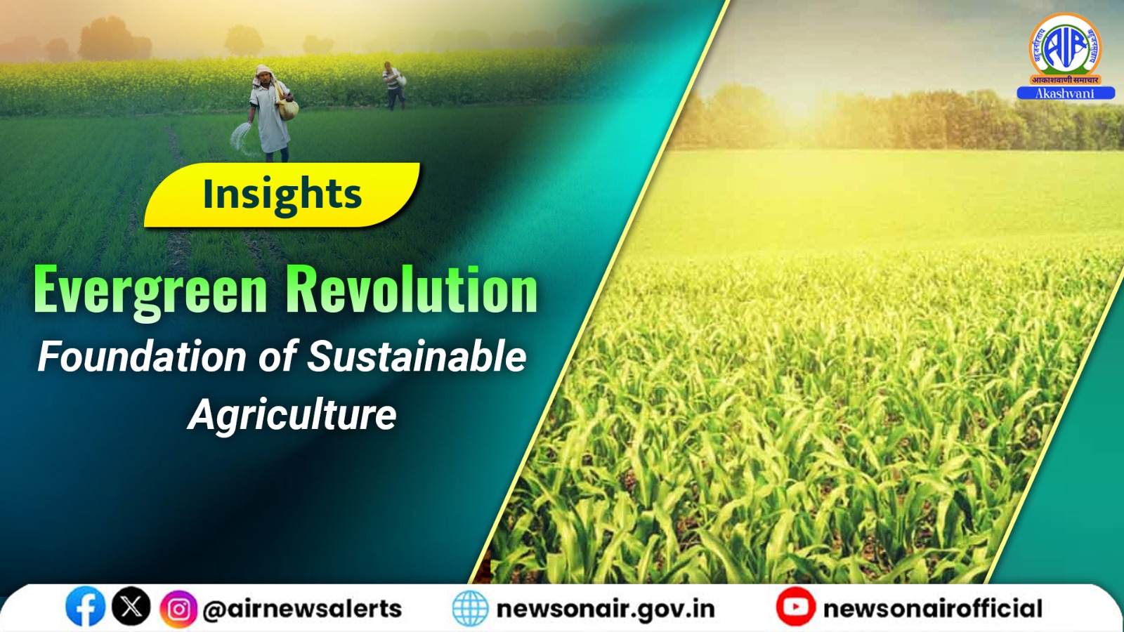 Insights : Evergreen Revolution: Foundation of Sustainable Agriculture