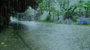 Flood Alert in Punjab: Over 20 Villages Evacuated, NDRF and Army on Standby