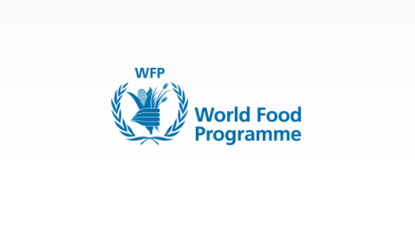 Afghanistan Faces Sharp Rise in Child Malnutrition, Needs $539 Million for Aid: WFP