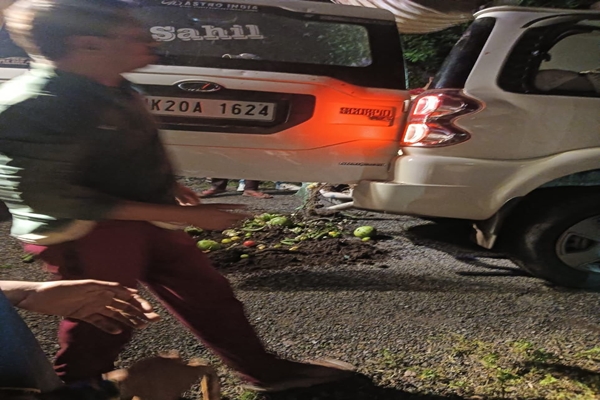 J&K SDM, son killed as boulder hits vehicle in Reasi