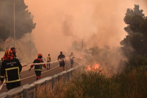 Portugal declares wildfire alert amid severe heatwave