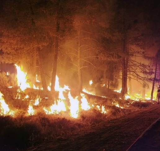 Massive Wildfire in Southern France Destroys Over 16,000 Hectares; One Dead, Several Injured