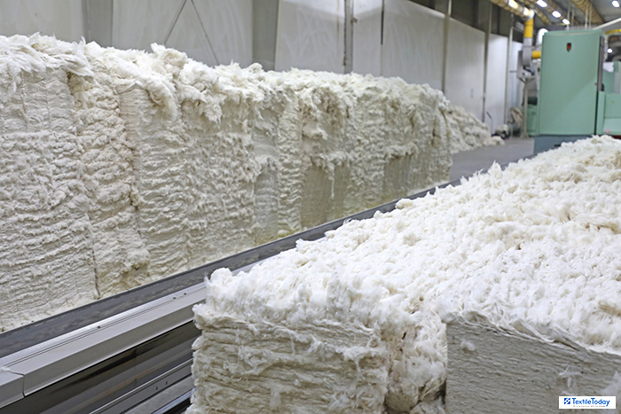 Govt Extends Import Duty Exemption on Raw Cotton Until 31st December 2025