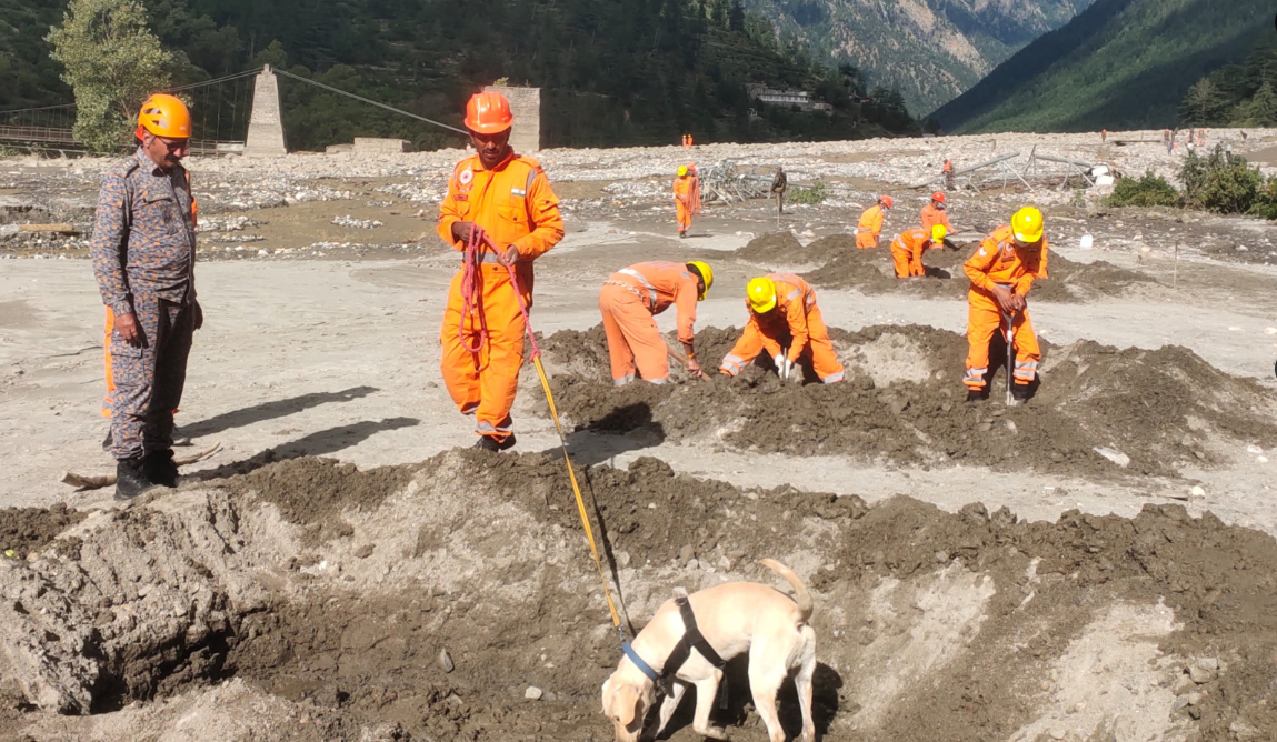 Search Continues in Uttarkashi Disaster Zone; 1,308 Rescued, Relief Efforts Underway