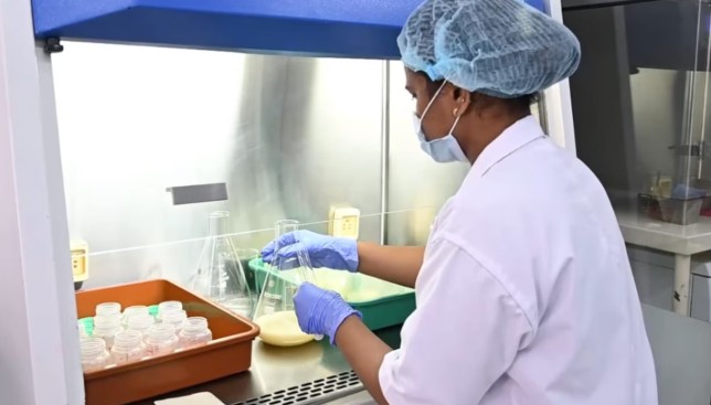 રાજ્યમાં અત્યાર સુધી 21 હજાર 357 માતાઓએ 19 હજાર 731 બાળકોને દૂધનું દાન કર્યું