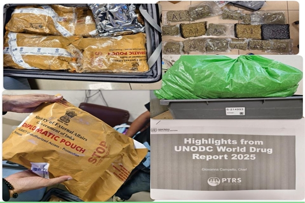 Mumbai Customs Seize ₹14.73 Cr Worth of Hydroponic Weed Hidden as ‘Diplomatic Cargo’
