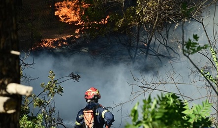 Wildfires rage across Greece, triggering mass evacuations