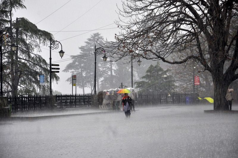 Normal life affected due to heavy rainfall in Himachal Pradesh; IMD predicts continuous rainfall till August 17