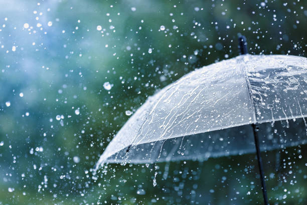 IMD Issues Red Alert for Mumbai as Heavy Rains Trigger Water-Logging, Travel Disruptions