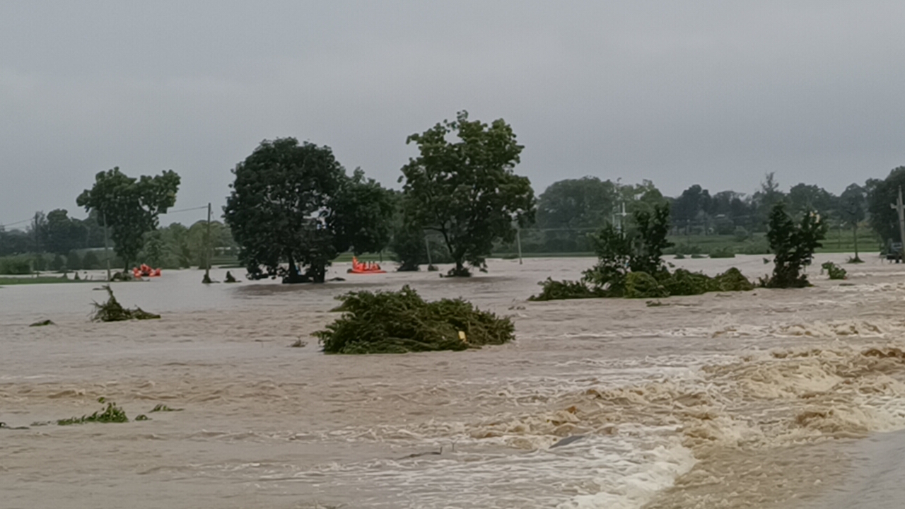 তেলেঙ্গানায়, ভারী বৃষ্টিপাতে বিভিন্ন জেলায় স্বাভাবিক জনজীবন বিপর্যস্ত।