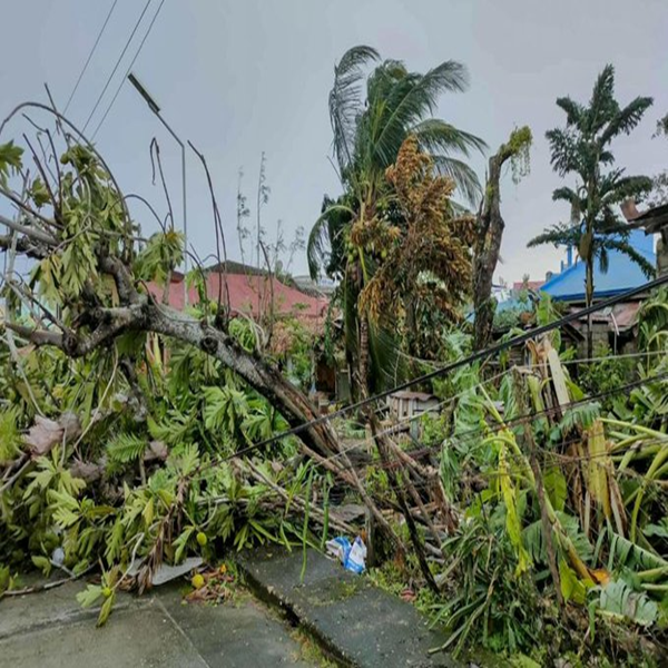 व्हिएतनाममधल्या ‘बुआलोई’ चक्रीवादळात २६ जणांचा मृत्यू, तर २२ बेपत्ता