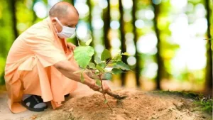 उत्‍तर प्रदेश सरकार सेवा पर्व पर 15 लाख पौधे लगाने और स्‍वच्‍छ उत्‍सव अभियानों का शुभारंभ करेगी