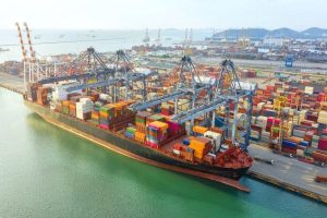 India’s Fisheries Department Teams Up with FAO to Strengthen Blue Port Infrastructure