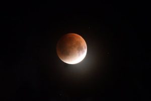 Skywatchers Witness Spectacular Total Lunar Eclipse, ‘Blood Moon’