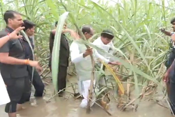 Union Minister Shivraj Singh Chouhan Visits Flood-Hit Areas in Punjab, Interacts with Affected Farmers