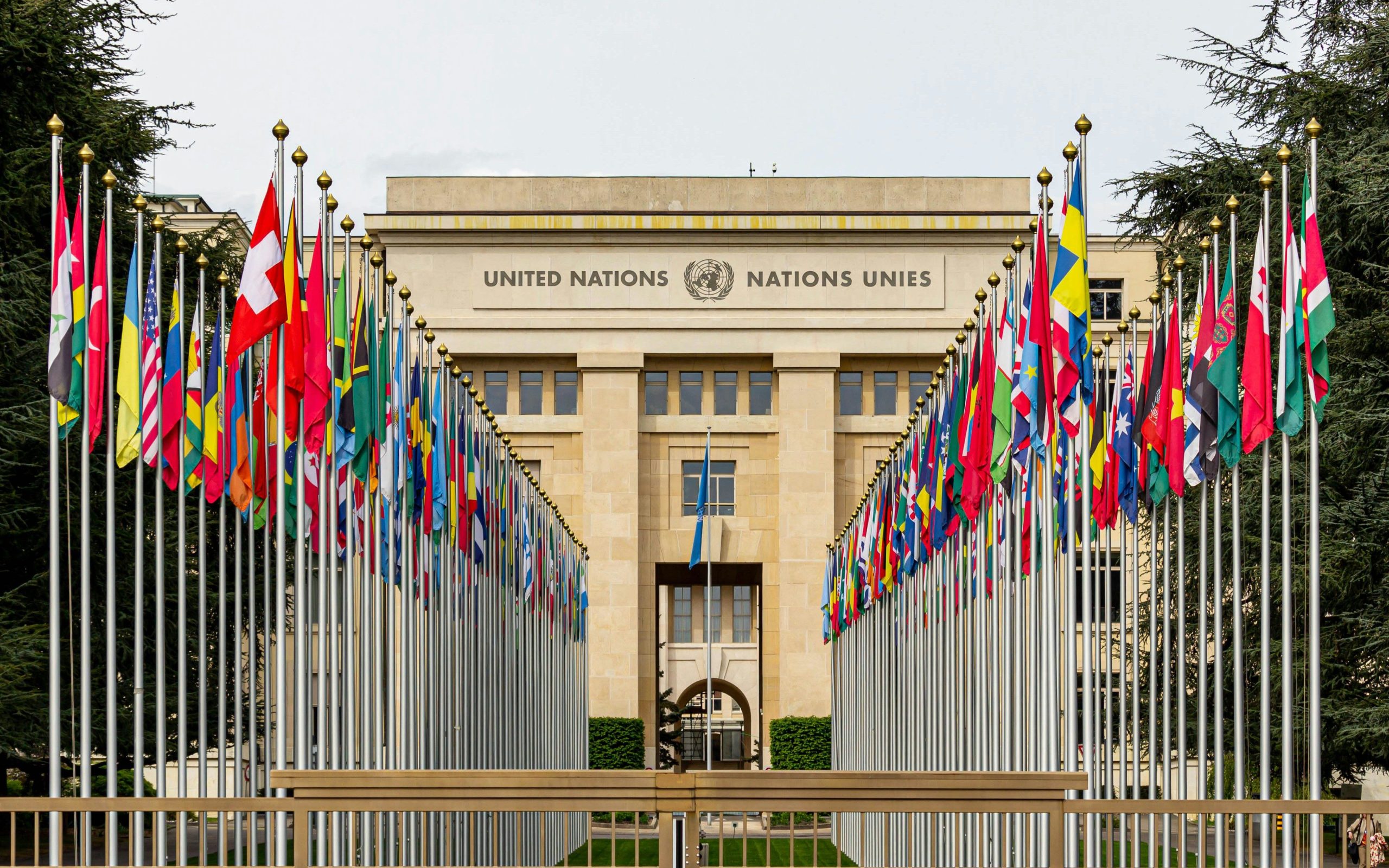 UN Commission Alleges Israel Committed Acts of Genocide in Gaza; Israel Rejects Findings