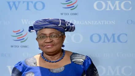 Global Trade in ‘Unstable Equilibrium,’ Says WTO Director-General