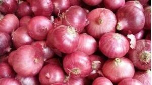 नाशिकमधील बाजार समित्यांमध्ये कांदा लिलाव, जाणून घ्या काय आहेत दर?