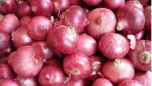 नाशिकमधील बाजार समित्यांमध्ये कांदा लिलाव, जाणून घ्या काय आहेत दर?