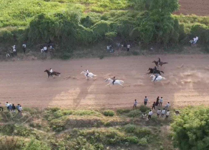 મહેસાણાના મોઢેરા ગામમાં રાજ્યકક્ષાની અશ્વદોડ સ્પર્ધા યોજાઇ