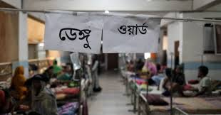 Bangladesh Dengue Death Toll Crosses 250, Over 56,000 Cases Reported in 2025