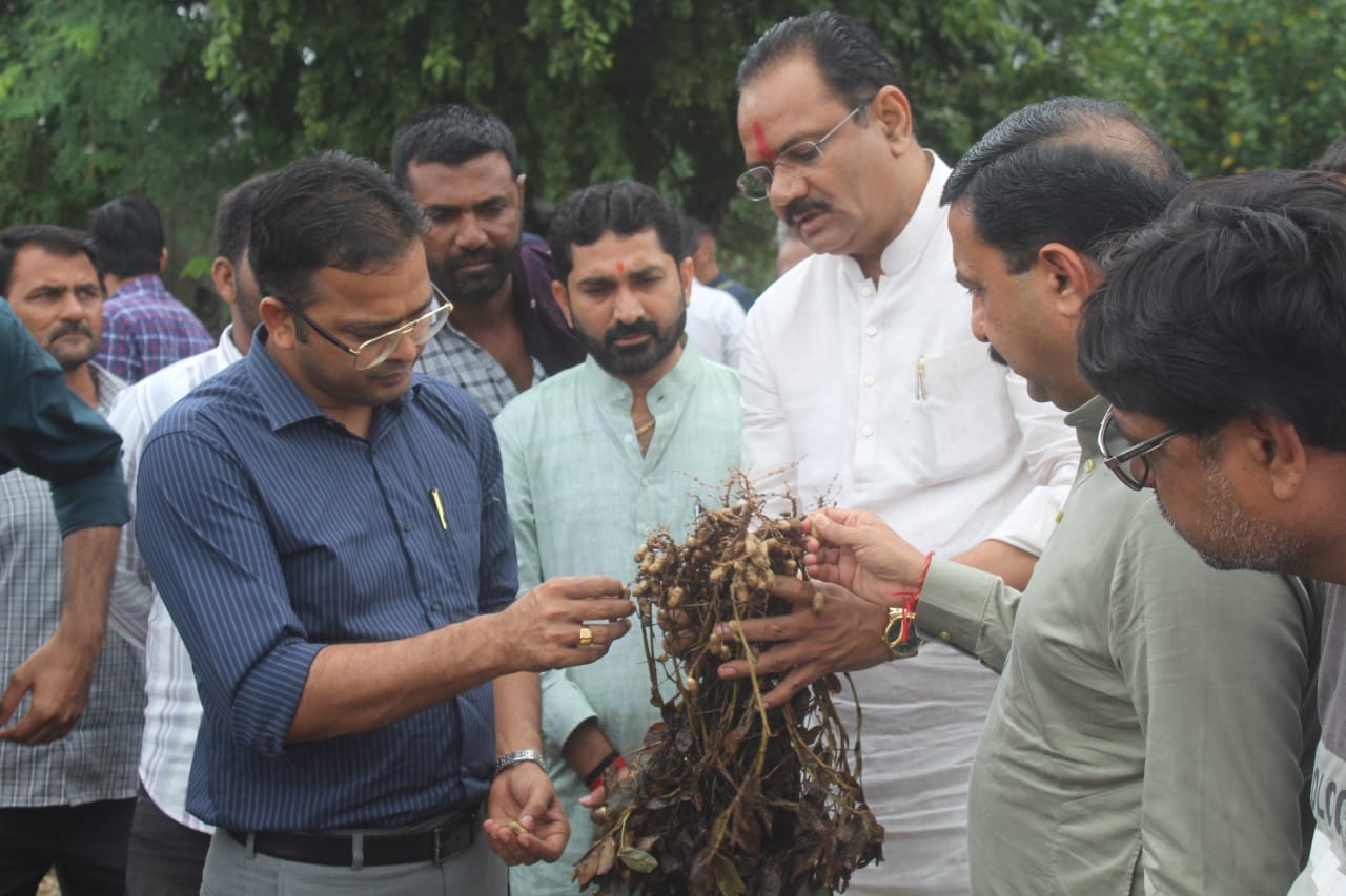 કમોસમી વરસાદના પગલે ઉભી થયેલી પરિસ્થિતિનો તાગ મેળવવા રાજ્યના મંત્રીઓ અસરગ્રસ્ત વિસ્તારની મુલાકાતે….