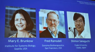 US and Japanese Scientists Win 2025 Nobel Prize for Breakthrough in Immune Tolerance