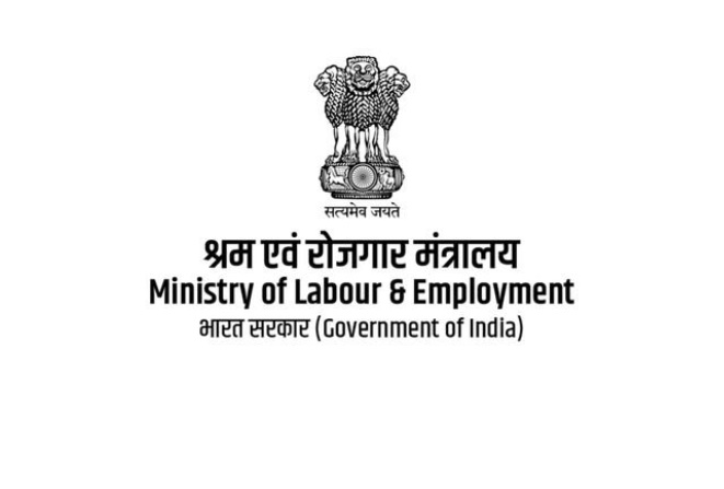 India Witnesses Rise in Female Workforce Participation, Reaches 42% in 2023–24