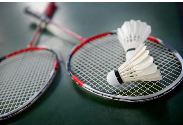 Indian Shuttlers Lakshya Sen, Kiran George, Unnati Hooda Move to Second Round at Hylo Open 2025