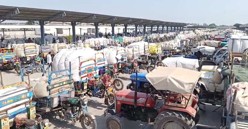 બોટાદ માર્કેટિંગ યાર્ડમાં આજે કપાસની 75 હજાર મણ આવક નોંધાઈ