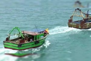 تمل ناڈو میں رامیشورم سے 30 ماہی گیروں کو سری لنکا کی بحریہ نے گرفتار کر لیا ہے۔