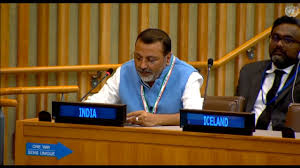 भारत ने बाल अधिकारों के हनन और सीमा पार आतंकवाद के लिए पाकिस्‍तान की कड़ी निंदा की