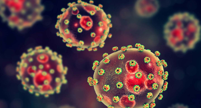 Lassa Fever Death Toll in Nigeria Rises to 172 in 2025