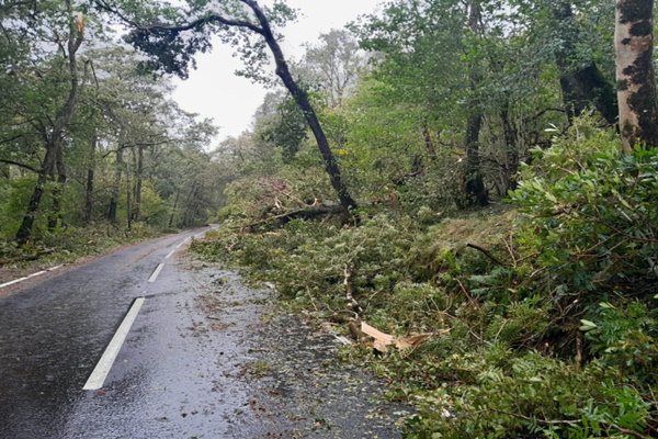 Storm Amy Hits U.K. and Ireland: Fierce Winds, Heavy Rain Cause Travel Chaos
