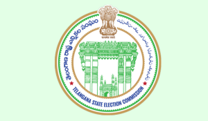 Telangana SEC Suspends Local Body Elections After High Court Order on Enhanced BC Reservations