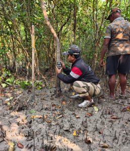 সারাদেশের সঙ্গে এই রাজ্যেও বাঘ শুমারির কাজ শুরুতে যাচ্ছে।