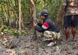 সারাদেশের সঙ্গে এই রাজ্যেও বাঘ শুমারির কাজ শুরুতে যাচ্ছে।