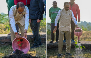 बियाणे उत्पादन क्षेत्रातल्या खासगी कंपन्यांनी संशोधन आणि विकासाला प्राधान्य द्यावं- केंद्रीय कृषीमंत्री