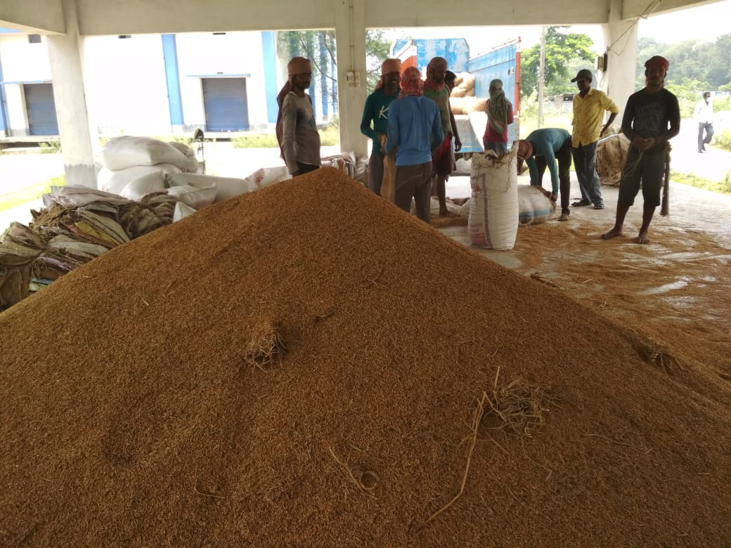 চলতি খরিফ মরসুমে সরকারি সহায়ক মূল্যে ধান কেনা শুরু হওয়ার প্রথম বারো দিনে এখনও পর্যন্ত রাজ্যের ৭৫ হাজারেরও বেশি কৃষক এক লক্ষ ২৫ হাজার ৮৫০ মেট্রিক টন ধান বিক্রি করেছেন।