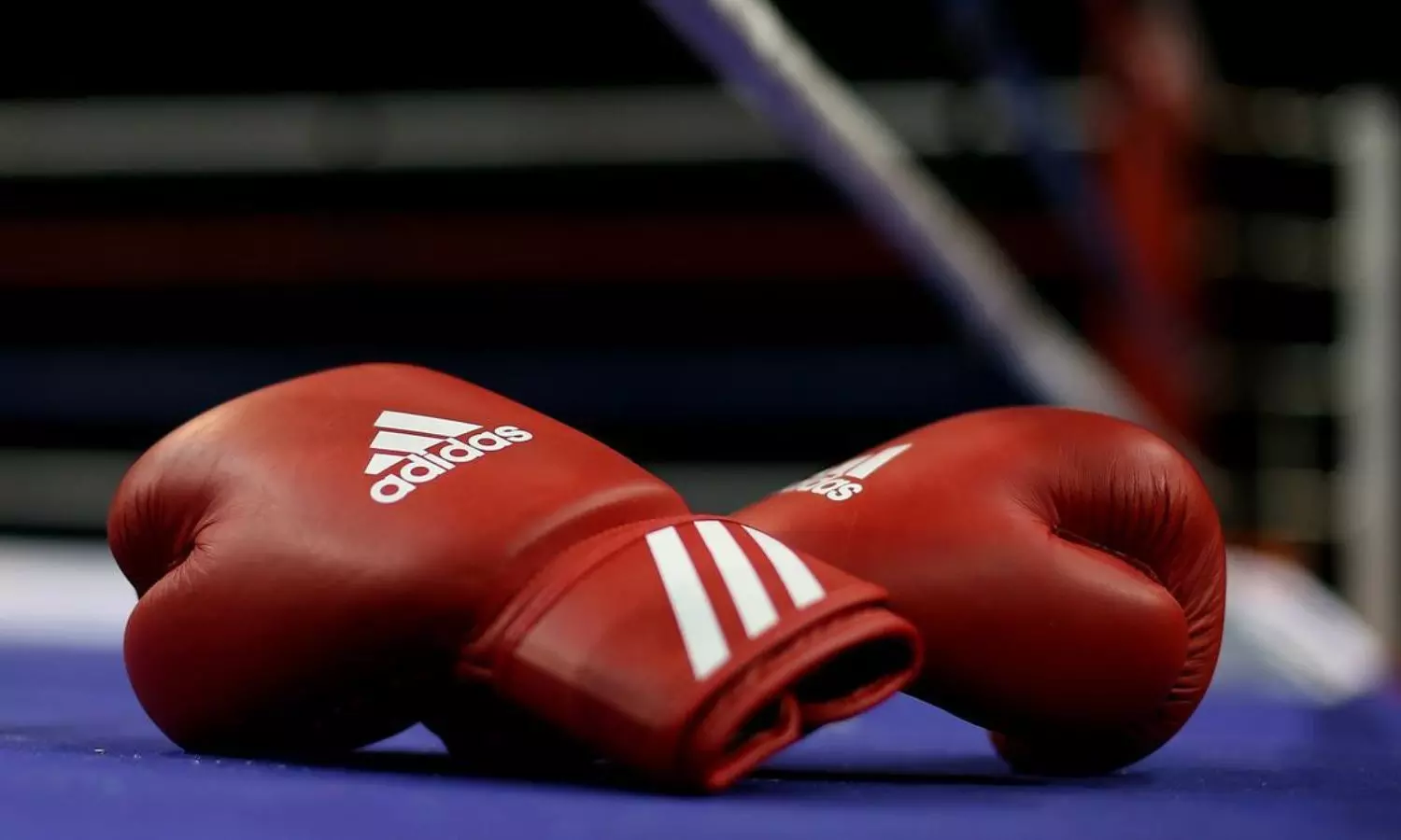 Greater Noida Hosts World Boxing Cup Finals 2025 with 130 Boxers from 18 Countries
