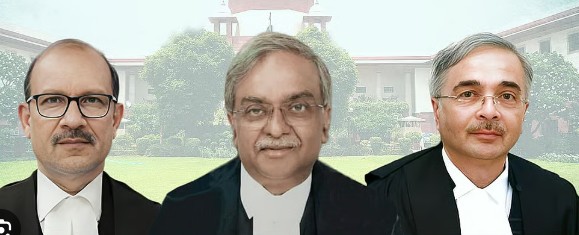 शाळा-रुग्णालयांवर भटके कुत्रे येऊ नयेत, स्थानिक संस्था जबाबदार – सर्वोच्च न्यायालय