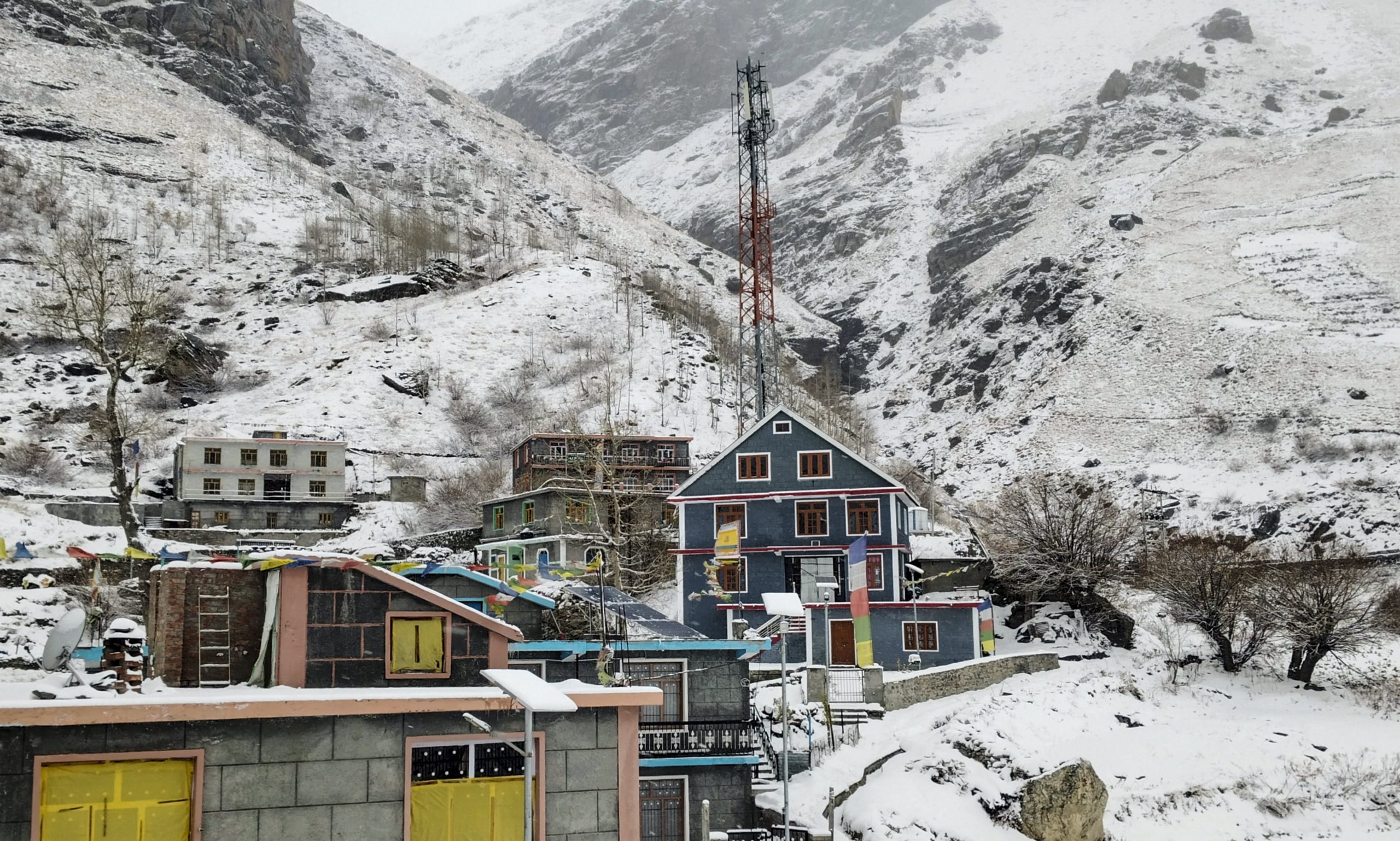 Cold Intensifies in Himachal Pradesh as Western Disturbance Triggers Snowfall