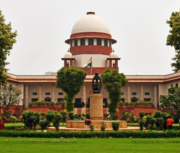 Supreme Court issues slew of directions to insulate key public spaces from stray dogs and other animal