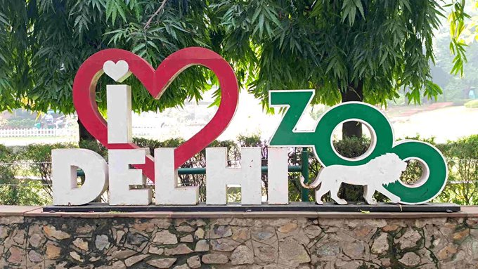 Delhi Zoo Reopens for Visitors After Avian Flu Precautionary Closure